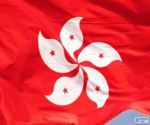 yapboz Hong Kong bayrağı